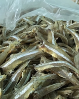 Anchois séchés au soleil du Vietnam / Qualité export