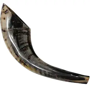 Shofar Auténtico de Cuerno de Carnero Ecológico, Hecho a Mano y Pulido, Instrumento Judaico para Oración y Ceremonias Religiosas - Product Image 4