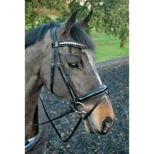 Brida de cuero cómoda de alta calidad para caballo, con hebilla - Product Image 1