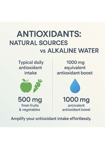 Ioniseur d'eau alcaline DVINE United Private Limited à 7 plaques en platine et titane, électrique, à haute teneur en pH, antioxydant - Product Image 6