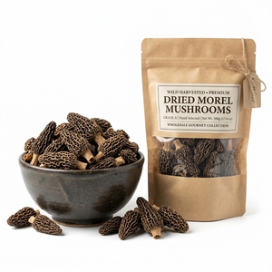 Champignons morilles sauvages séchés de haute qualité, qualité alimentaire gourmet, champignons naturels riches en saveur umami, vente en gros, approvisionnement en vrac - Product Image 1