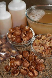 Detergente Reetha de Grado Cosmético, Ecológico, para Uso en Inodoros, a Precio de Mayoreo |   Detergente Reetha Totalmente Natural de Alta Calidad al Mejor Precio - Product Image 6