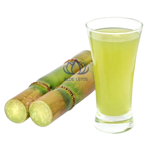 Jus de Framboise Bio IQF Congelé, Meilleure Vente, Riche en Antioxydants, Écologique, Approvisionnement Écoresponsable - Product Image 1