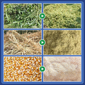 Picadora y amoladora de forraje con motor diésel, Máquina trituradora cortadora de paja con certificación CE para alimentación animal - Product Image 6