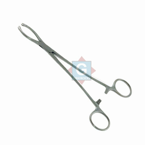Pinzas para Tejidos Littlewood Más Vendidas, Instrumentos Quirúrgicos de Acero Inoxidable, Certificación CE Clase I, Alta Calidad - Product Image 3