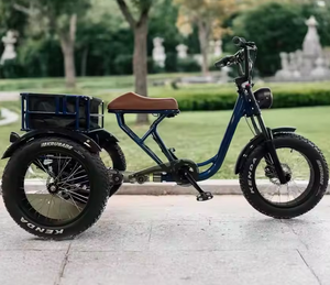 Tricycle électrique prêt à être expédié, 48V 500W, acier, pour adultes, avec batterie au lithium - Product Image 1