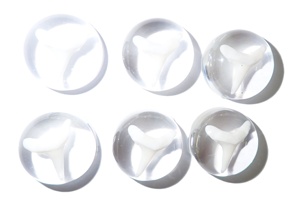 Cabujón de plástico con diente de tiburón auténtico, redondo, 19x19 mm, transparente, base plana, moderno, para el Día de la Tierra, para manualidades y fabricación de joyas - Product Image 2