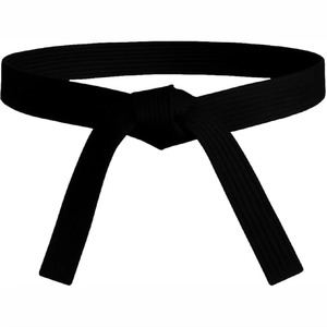 Ceintures de karaté en coton de qualité supérieure avec logo personnalisé, équipement d'entraînement d'arts martiaux avec emballage haut de gamme, ceintures de karaté et de BJJ en coton - Product Image 5
