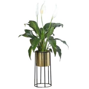 Pot de fleurs moderne en cuivre métallique avec support de sol en métal noir robuste, idéal pour la décoration intérieure, le jardin, le balcon, l'hôtel, le hall d'entrée - Product Image 1