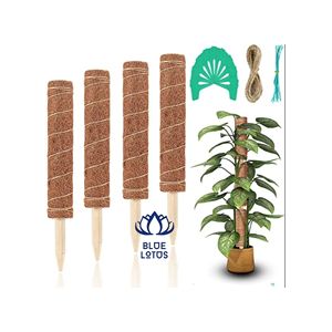 Poste de Musgo de Coco Ecológico Blue Lotus, ¡EN OFERTA! |   Soporte para Plantas Simple, Moderno y Natural, Hecho a Mano, Accesorios de Jardinería - Product Image 1