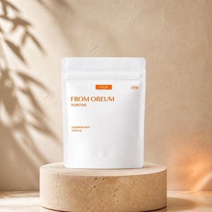 [FROM OREUM] Pasta de Dientes Sólida en Paquete de Recarga para Viajes, Cuidado Bucal y Cepillado Diario, Venta al por Menor - Product Image 3