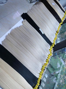 Extensiones de Cabello al Por Mayor NASA HAIR VIETNAM, Cabello Vietnamita Virgen de Doble Trama, Puntas Completas, Color Platino - Product Image 2