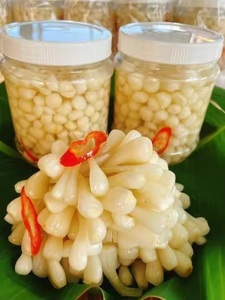 กิมจิหัวหอมพรีเมียมในน้ำดอง ผักดองสดกรอบ สำหรับขายส่งและส่งออก - Product Image 3