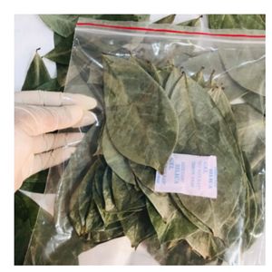 Selected Graviola Dried Soursop Leaves <b>Tea</b> Ingredient Bulk Wholesale - Product Image 1