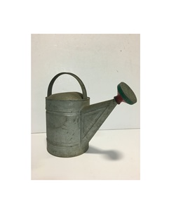 Arrosoir en métal avec tête de bec amovible pour un nettoyage facile et un débit d'eau contrôlé pour les plantes - Product Image 1