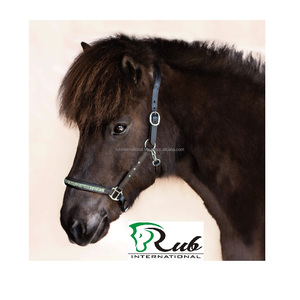 Rub International 7860H Último diseño Caballo Ecuestre Cuero Halter Hot Fix Chain Tamaño personalizable Logo Durable Mejor precio - Product Image 5