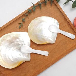 Cuillère en nacre de caviar, artisanale de qualité supérieure, en coquillage naturel non réactif, pour service de fruits de mer, vente en gros, fournisseur Vietnamien - Product Image 6