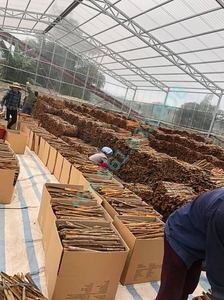 ผู้ผลิตอบเชย/อบเชยแห้งคุณภาพสูงจากธรรมชาติจากเวียดนาม แบบแยกชิ้น - Product Image 4