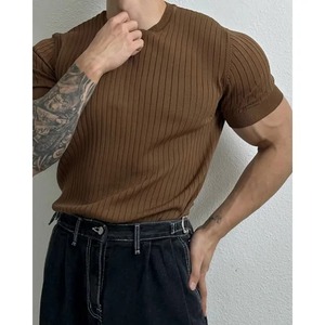 เสื้อยืดผู้ชายระดับไฮเอนด์สำหรับฤดูร้อน ทรงหลวมสบาย แขนสั้น ผ้าถักลายเรียบ ระบายอากาศได้ดี น้ำหนัก 220 กรัม ปักลาย - Product Image 6