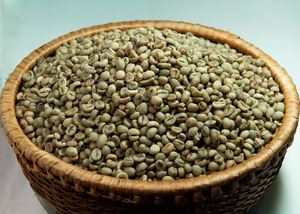 ผู้จัดจำหน่ายกาแฟเวียดนาม เมล็ดกาแฟอาราบิก้าคุณภาพพิเศษ ขนาด 18 ปริมาณมากสำหรับส่งออก คุณภาพพรีเมียม ได้รับการรับรองจาก USDA - Product Image 5