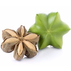 Vente en gros de sachi inchi au Viet Nam meilleure qualité - Product Image 1