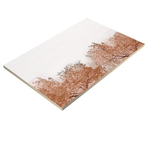 Azulejos cerámicos brillantes de bajo precio y alta calidad, 300x450 mm, azulejos cerámicos digitales para pared de la fábrica india Arkiton tiles. - Product Image 1