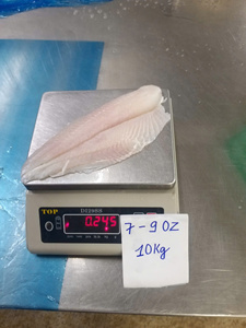 Filet de Pangasius Blanc Congelé, Bien Épluché, 3-5oz 5-7oz, IQF, Filet de Basa du Vietnam, Emballage Sous Vide - Product Image 1