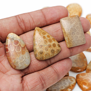 Coral Fósil Natural de Alta Calidad, Gema Suelta de Tamaño Libre, Cabujón a Precio de Fábrica al por Mayor Directo del Proveedor - Product Image 2