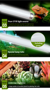 Lámpara UVB T8 para Reptiles, 2%/5%/10% de Protección UVB, Lámpara UVB T5 para Reptiles - Product Image 3