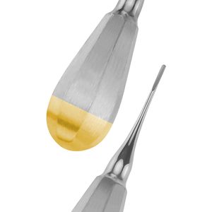 En gros Élévateur de Luxation Dentaire Power Ex Droit 2mm, Équipement Dentaire, Élévateurs de Luxation Radiculaire, Élévateur Coupland - Product Image 4
