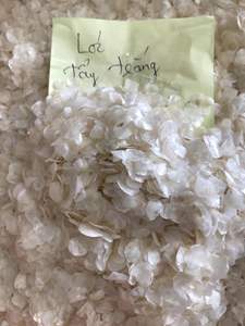 Écailles de poisson décalciées à prix avantageux pour les fournisseurs de collagène du Vietnam, exportation d'écailles de poisson tilapia au meilleur prix - Product Image 6