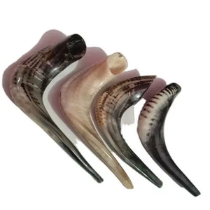 Shofar artisanal personnalisé en corne de bélier, instrument sonore religieux et cérémoniel, finition naturelle, décoratif, objet de collection élégant - Product Image 4