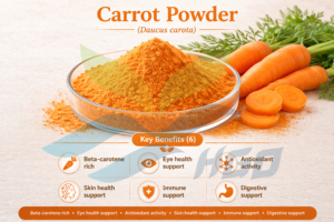 Suministro directo de fábrica HGO de polvo de zanahoria natural puro (grado alimenticio) Especificación de polvo vegetal (polvo de fruta o vegetal) - Product Image 5