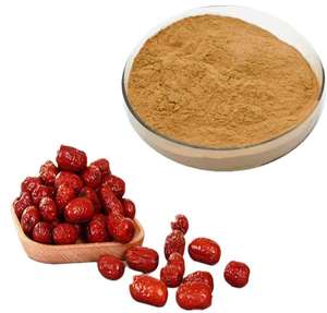 Poudre de datte à mailles fines de haute qualité, édulcorant naturel à base de fruits, matière première, poudre de datte, marque privée, emballage personnalisé, fournisseur en gros - Product Image 3