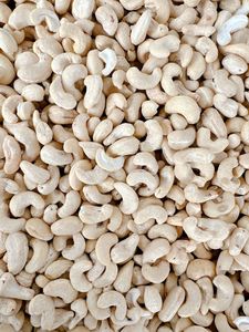 Nueces de Anacardo Crudas Premium de Vietnam, Núcleo Blanco, Larga Vida Útil, WW180 WW240 WW320, Empaque Personalizado a Granel - Product Image 4