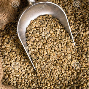 Café Verde Robusta y Arábica Vietnamita de Buena Calidad, Grado 1 S14 S16 S18, Mejor Precio, Buena Calidad, Bolsa de 60 KG - Product Image 2