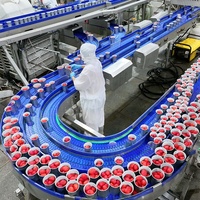 Nouvelle Saison – Concentré de Tomate en Conserve Double Concentré, Prix d'Usine, Vente en Gros, Exportation Chine, OEM/ODM Disponible