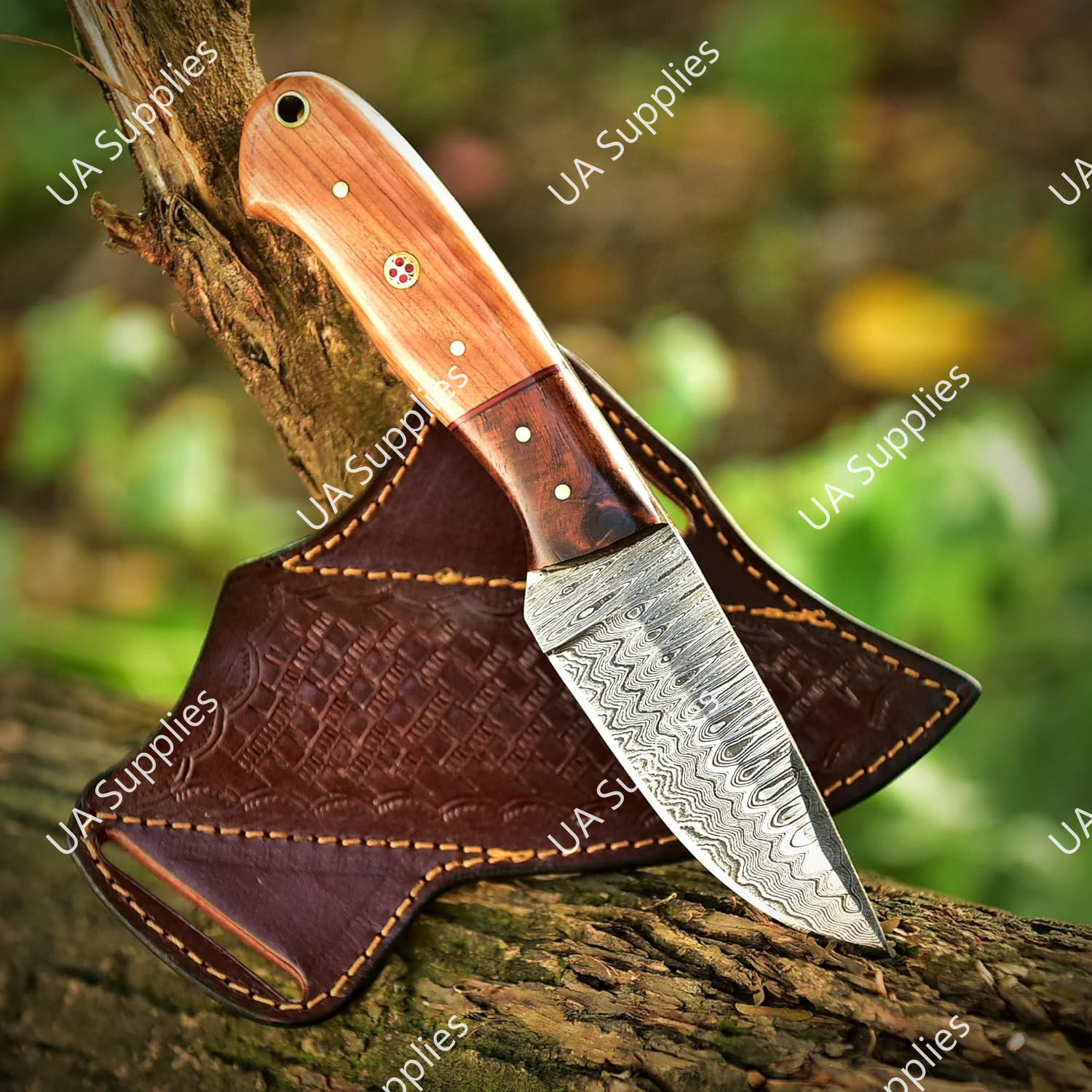 Damascus & Olive Wood