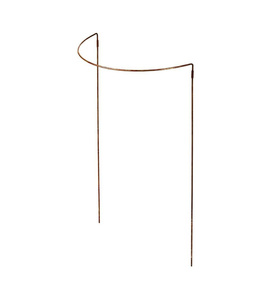Elegant <b>Plant</b> Support <b>Frame</b> - Product Image 5
