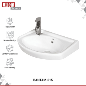 Fabricación en India, Venta al por Mayor de Artículos Sanitarios, Lavabo de Cerámica Moderno, Lavabo de Pared a Bajo Precio - Product Image 2