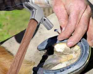 Marteau de ferrier en acier premium IRON – Outil pour fer à cheval, outils vétérinaires, marque privée OEM - Product Image 6