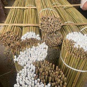 HIGH QUALITY 2026 Bamboo Poles Safe Clean Finish for Decoration Use and <b>Farming</b> Support Durable Long Lasting Easy Handling - Product Image 5