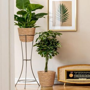 Vietnam Origin <b>Storage</b> Seagrass Bread <b>Basket</b> with <b>White</b> Handle Dimensional Tolerance <1cm Lightweight - Product Image 4