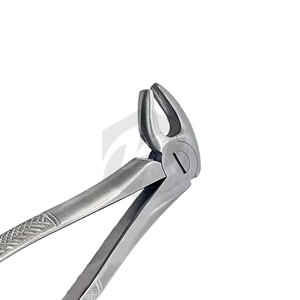 คีมถอนฟันคุณภาพพรีเมียม NO MD3 Mead Forceps เครื่องมือทันตกรรมแบบใช้มือที่มีประสิทธิภาพ ทนทาน และแม่นยำ - Product Image 5
