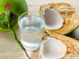 Agua de Coco Congelada en Envases a Granel al por Mayor - Product Image 4