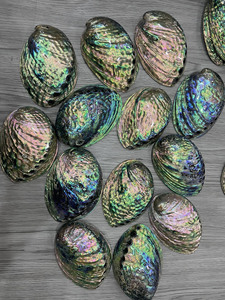 Rare Eco-Friendly Pearlized <b>Abalone</b> <b>Shell</b> Polished Iridescent Rainbow Oval Seashell Bulk Pack for Luxury Premium Villa Decor Art - Product Image 1