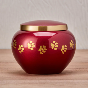 Mini Metal Pet <b>Urn</b> Round White with Paw Print Design Handmade Keepsake for Dog <b>Cat</b> Memorial Gift funeral ashes <b>urn</b> - Product Image 4