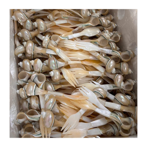 Cuchara de Concha Natural Vietnamita con Incrustaciones de Madreperla, Hecha a Mano, Utensilio de Comedor Ecológico para Decoración del Hogar - Product Image 1