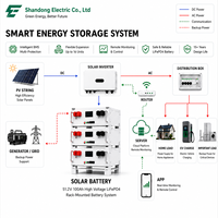 Batterie Rack 200 kWh Haute Tension LiFePO4 500-1000V Système de Stockage d'Énergie Domestique CAN RS485 BMS