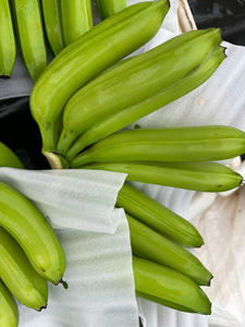 Bananas Cavendish de alta calidad cultivadas en Vietnam, sabor cremoso dulce y piel limpia envasadas para exportación y uso en supermercados - Product Image 6